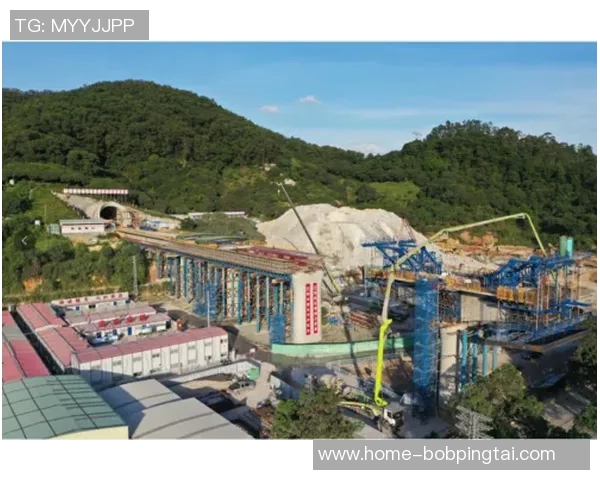 实时新闻深圳飞盘队技术表现深度分析与数据解读探讨